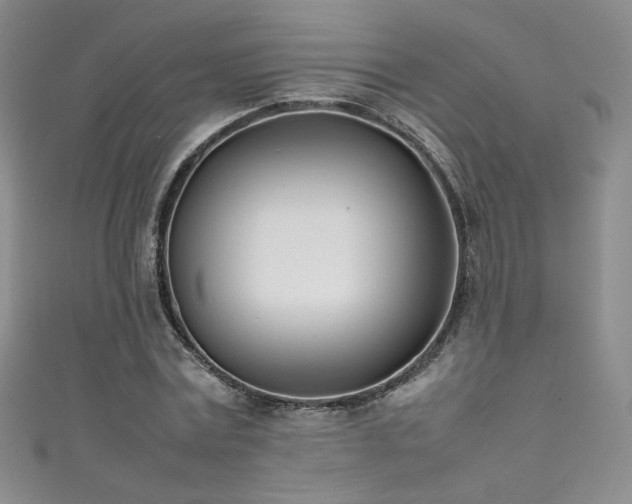 X0000111490779200907141238
