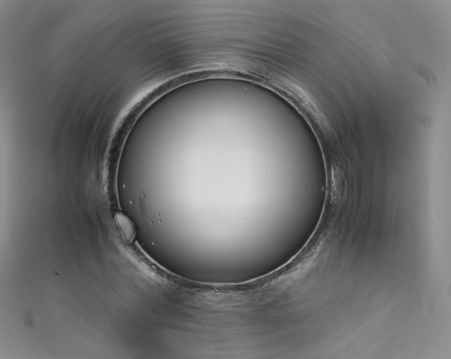 X0000111490780200907141238