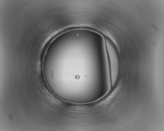 X0000111490781200907141238