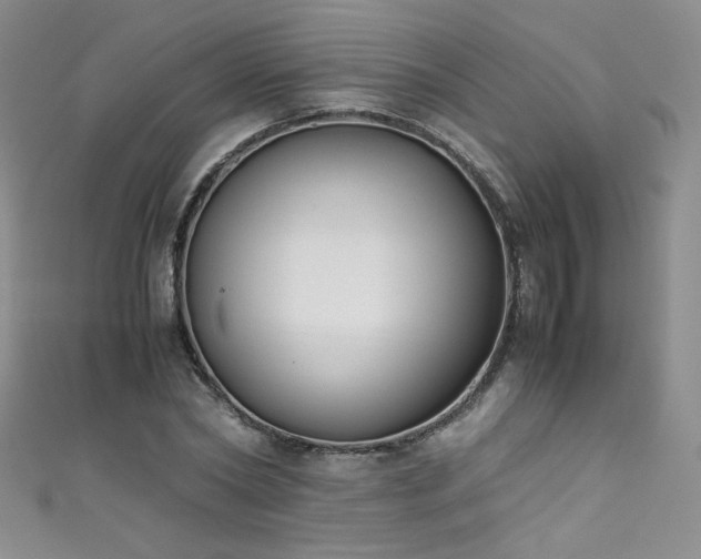 X0000111490782200907141238