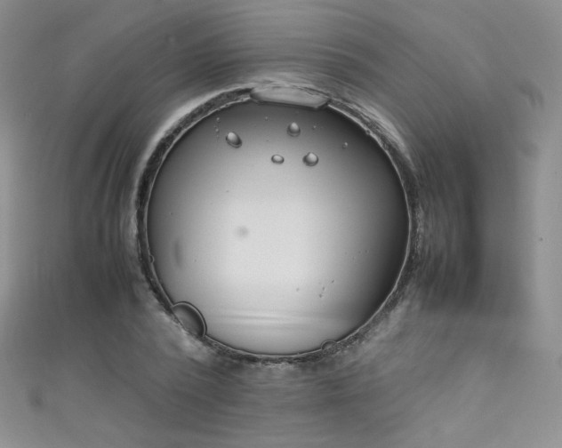 X0000111490784200907141238