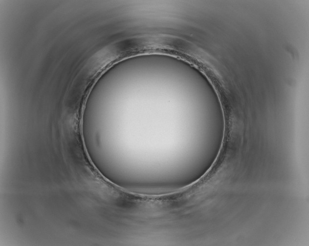 X0000111490785200907141238