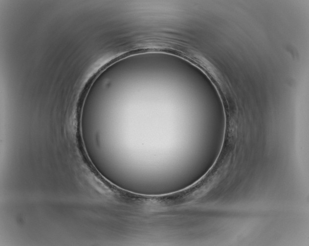 X0000111490787200907141238