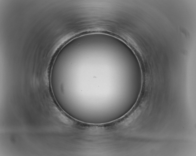 X0000111490789200907141238