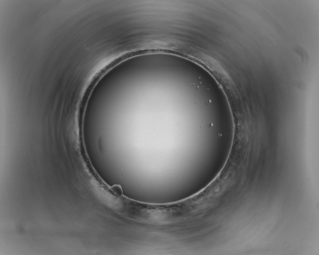 X0000111490792200907141238