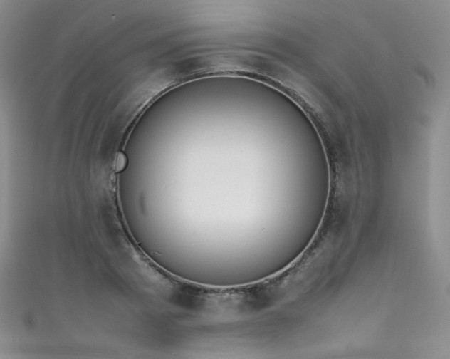 X0000111490793200907141238