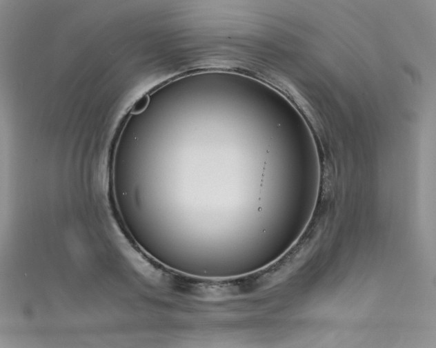 X0000111490795200907141237