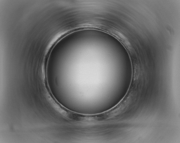 X0000111490796200907141237