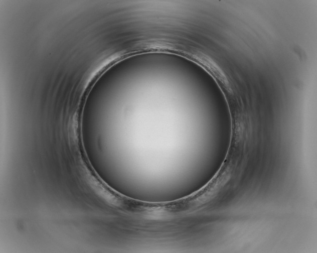 X0000111490798200907141237