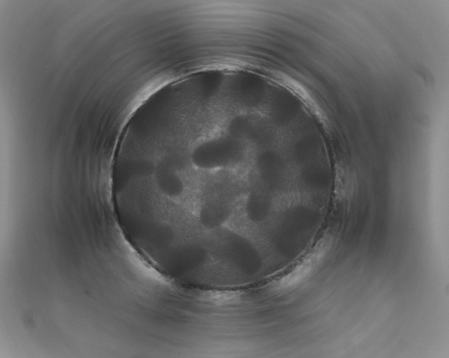 X0000111490802200907141237