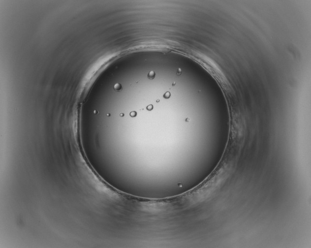 X0000111490804200907141237