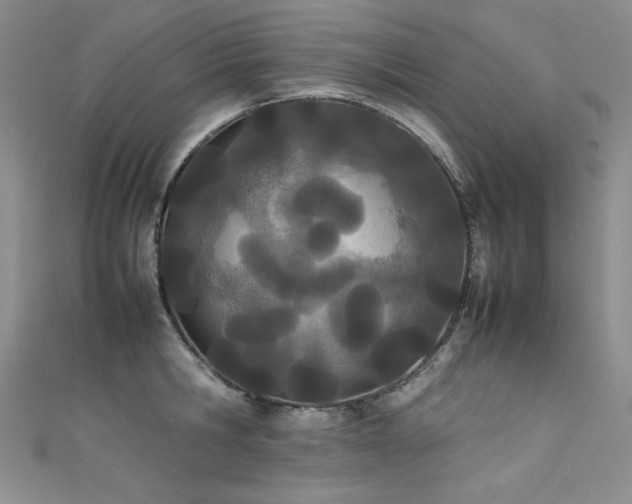 X0000111490806200907141237