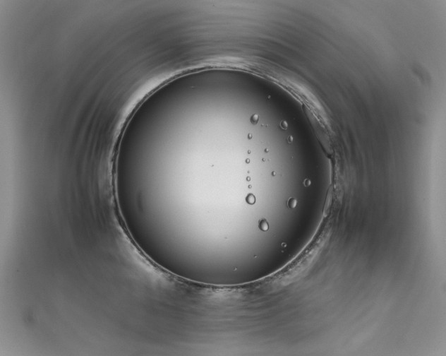 X0000111490808200907141237
