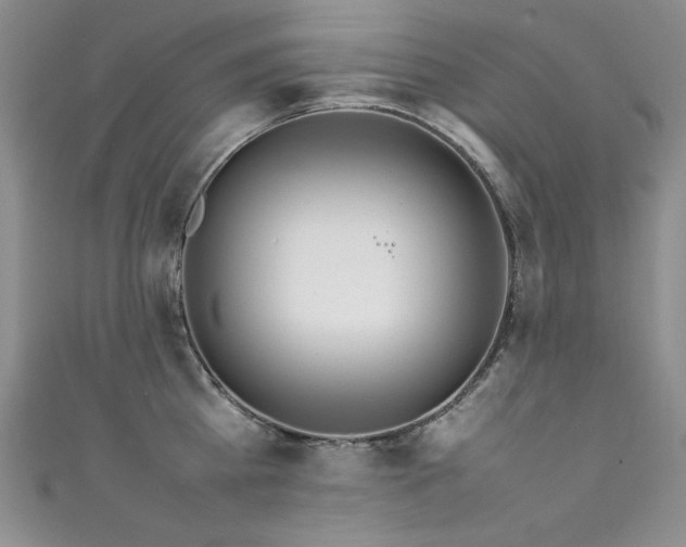 X0000111490809200907141237