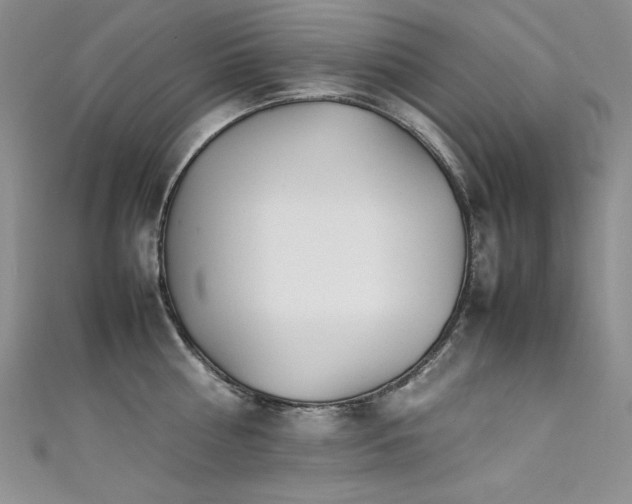 X0000111490810200907141237