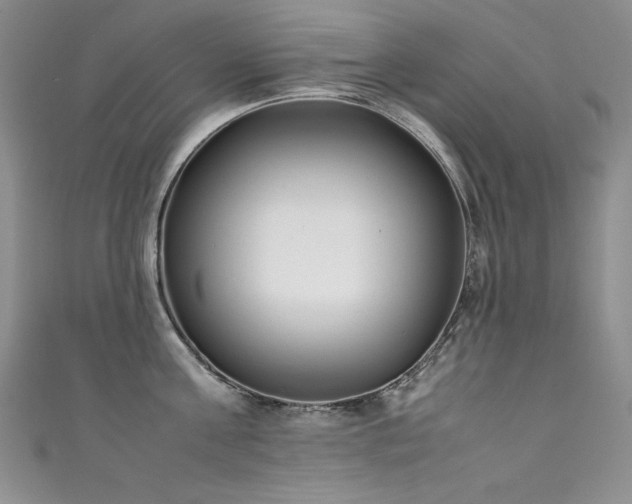 X0000111490811200907141237