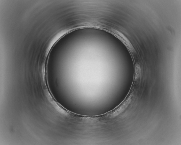 X0000111490812200907141237