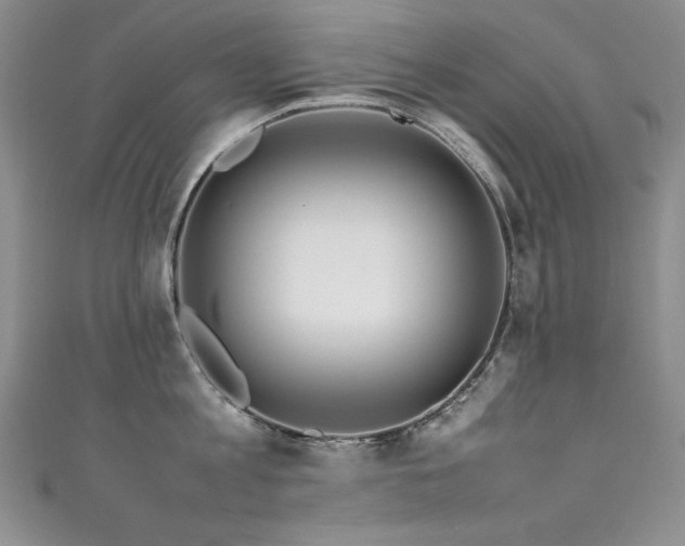 X0000111490813200907141237