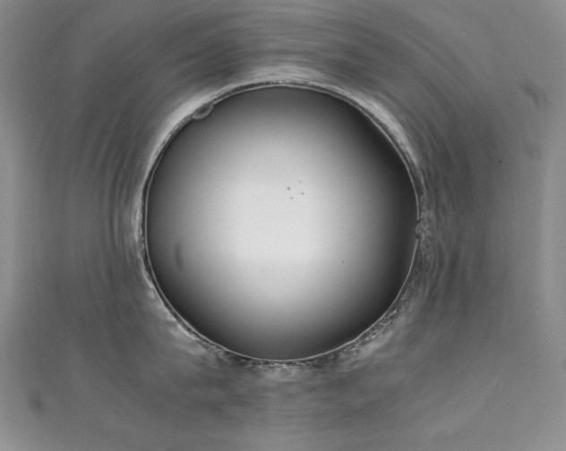 X0000111490815200907141237