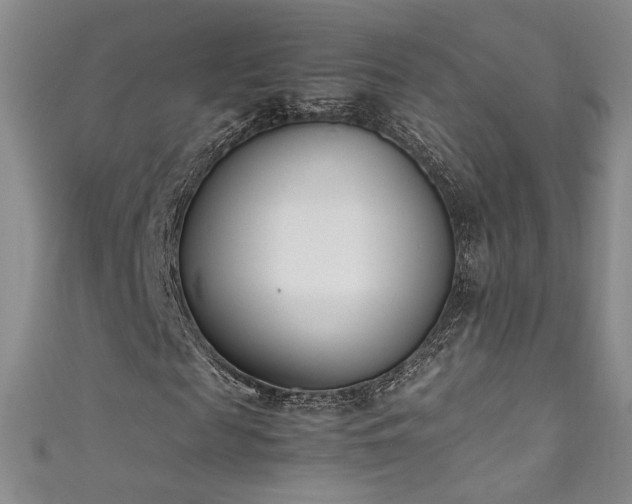 X0000111490817200907141237