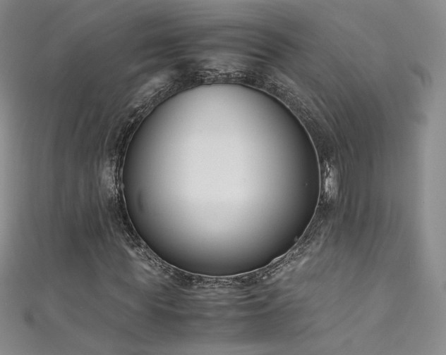 X0000111490819200907141237