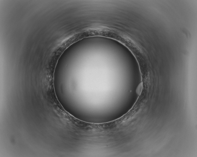 X0000111490822200907141237