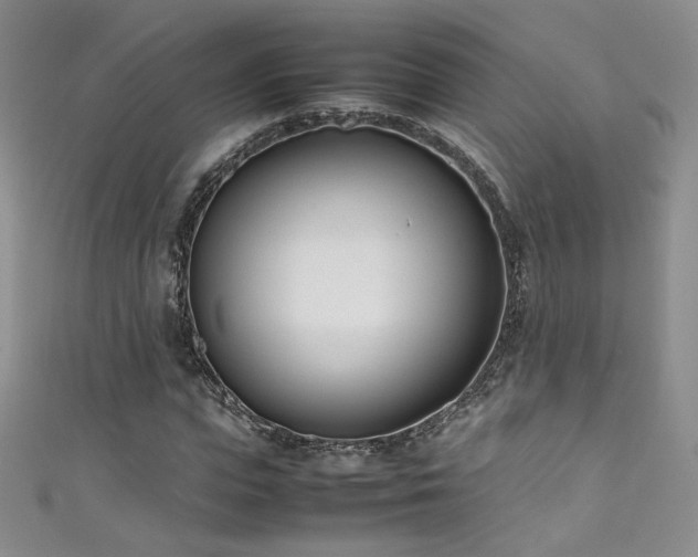 X0000111490823200907141237