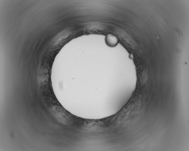 X0000111490824200907141237