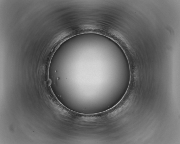 X0000111490825200907141237