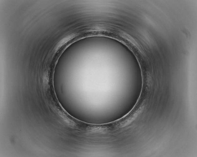 X0000111490826200907141237
