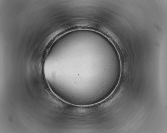 X0000111490829200907141237