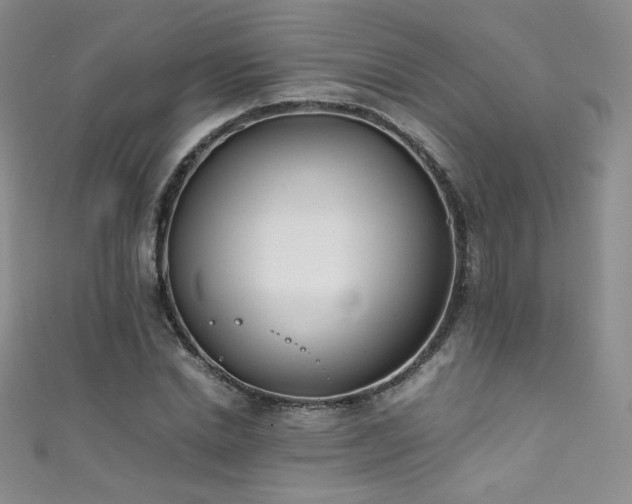 X0000111490830200907141237