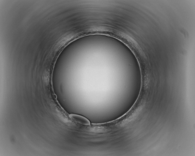 X0000111490833200907141237