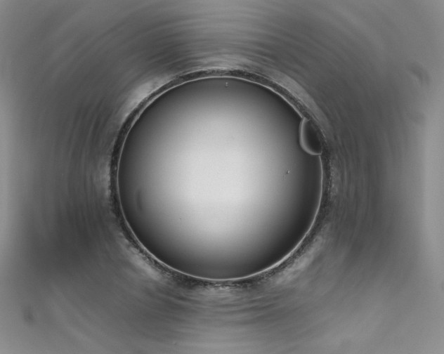 X0000111490834200907141237