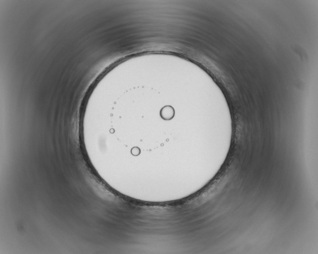 X0000111490836200907141237
