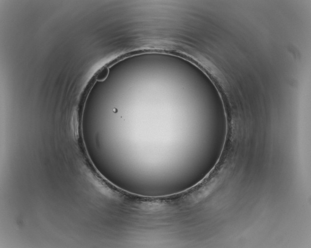 X0000111490838200907141237