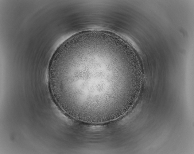 X0000111490839200907141237