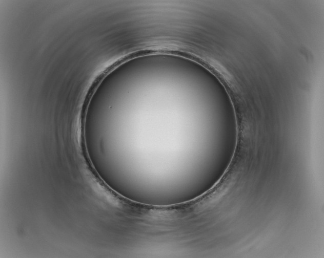 X0000111490840200907141237