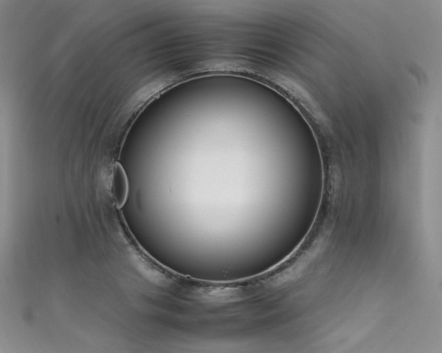 X0000111490841200907141237