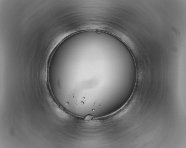 X0000111490844200907141237