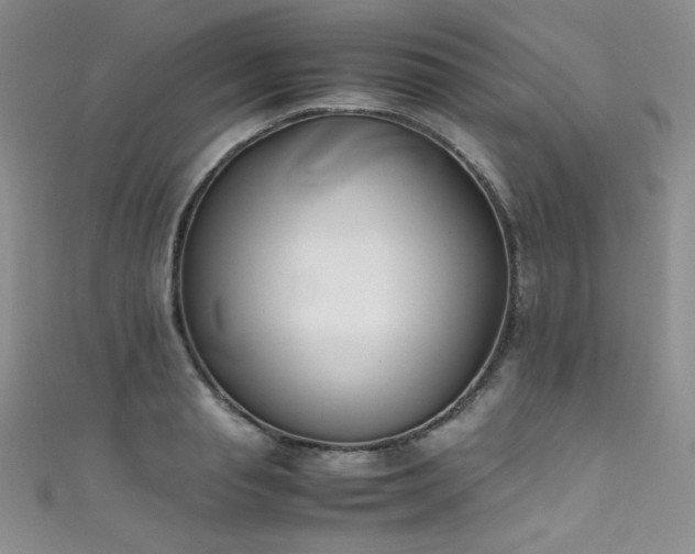 X0000111490845200907141237