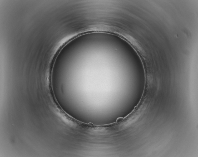 X0000111490846200907141237