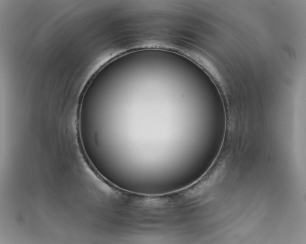 X0000111490847200907141237