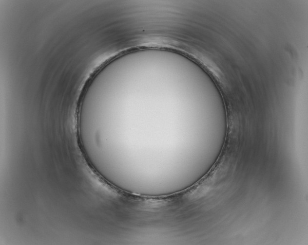 X0000111490848200907141237
