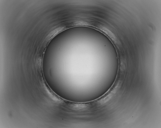X0000111490849200907141237