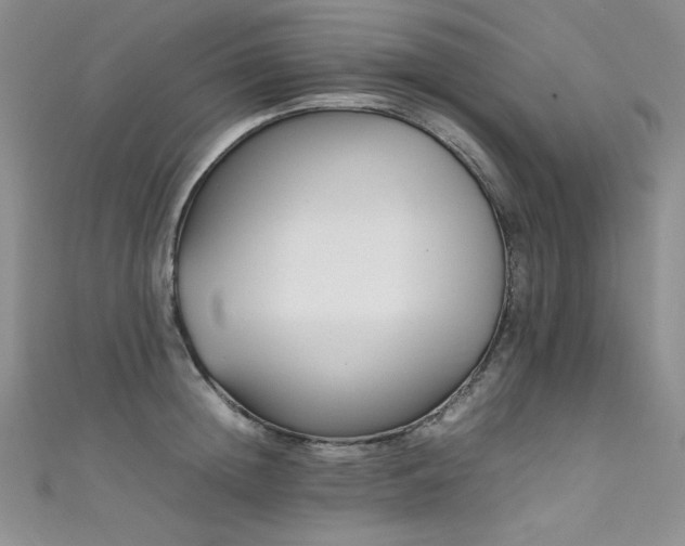 X0000111490852200907141237