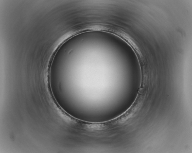 X0000111490853200907141237