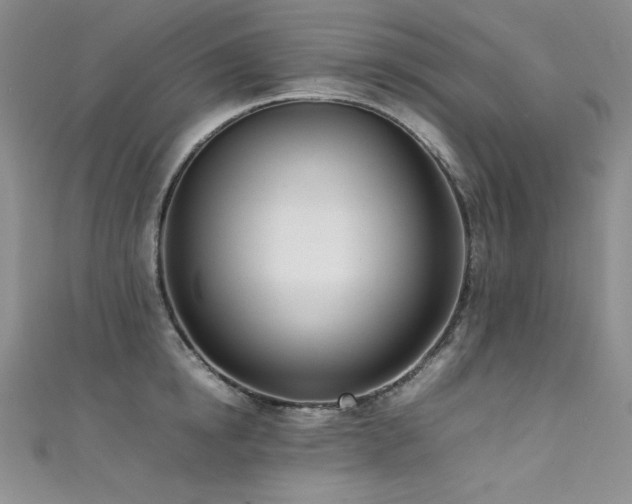 X0000111490854200907141237