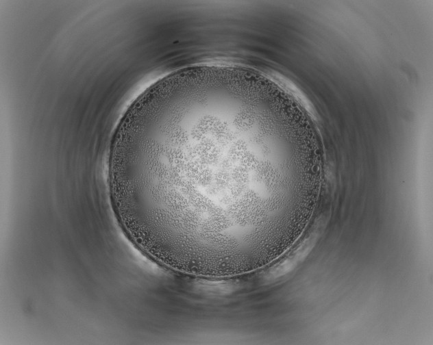 X0000111490855200907141237
