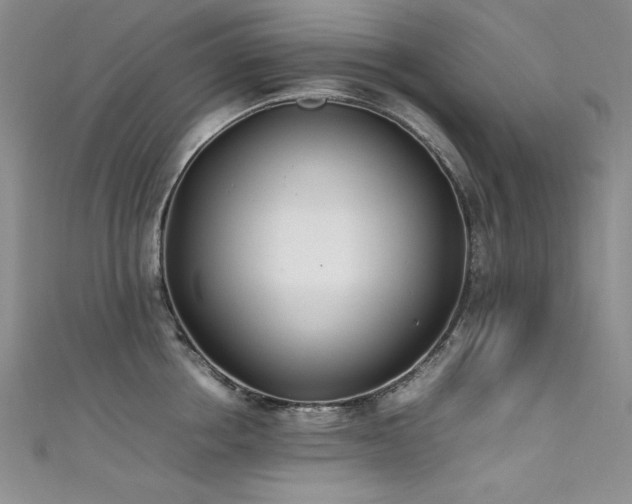 X0000111490858200907141237